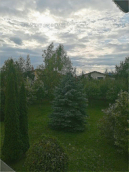 CASA DEOSEBITA  HARMAN 