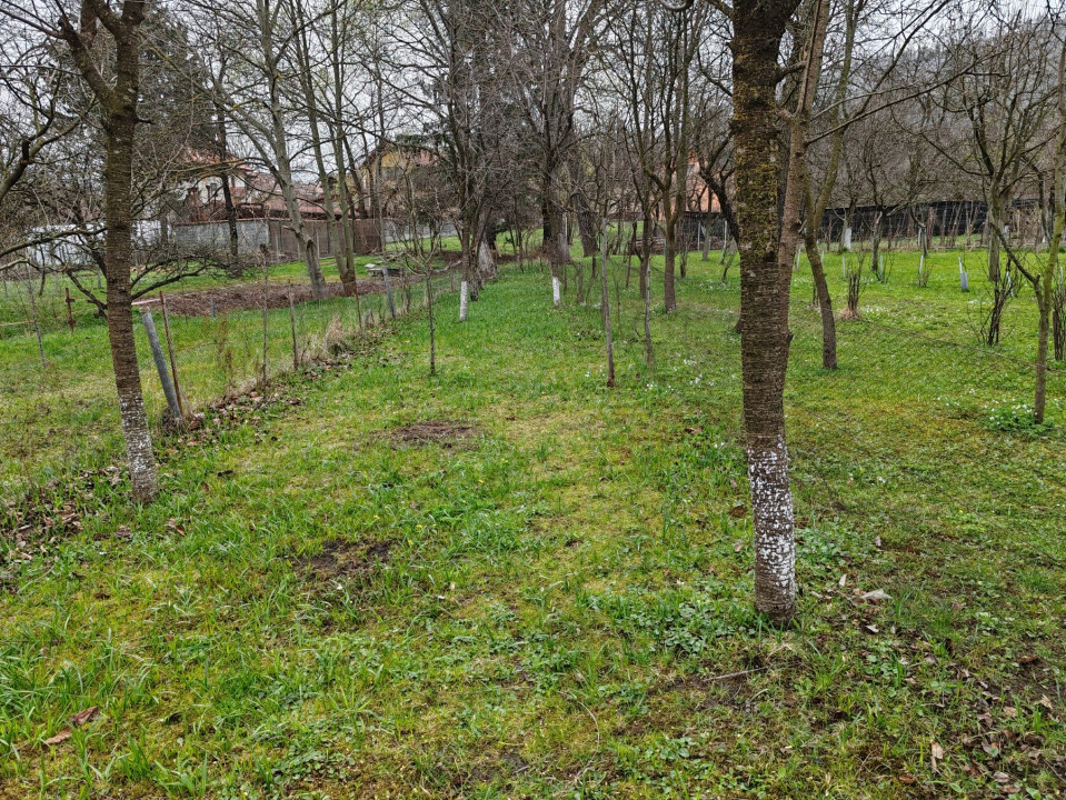 Casa 7 camere, 4 grupuri sanitare, curte si grădină