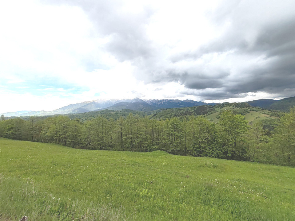 Oportunitate rară! Teren 7.283 mp, investitie garantată