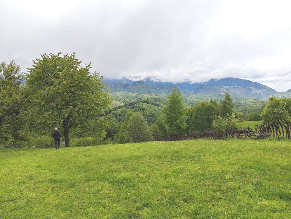 Oportunitate rară! Teren 7.283 mp, investitie garantată