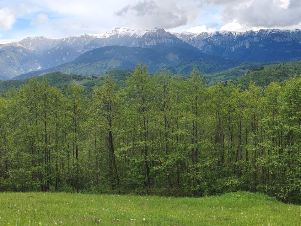 Oportunitate rară! Teren 7.283 mp, investitie garantată