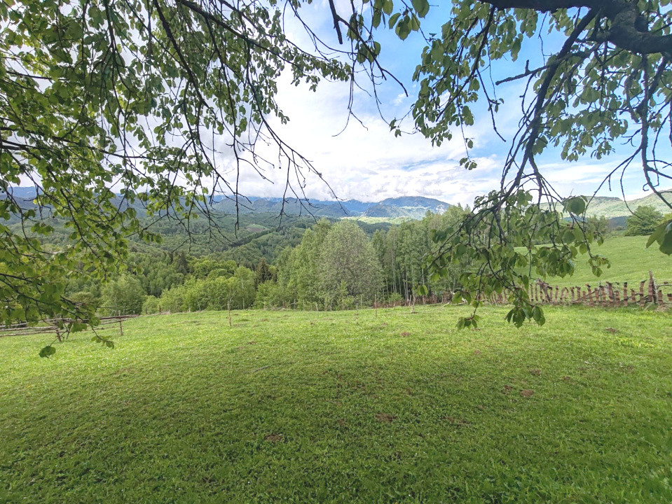 Oportunitate rară! Teren 7.283 mp, investitie garantată