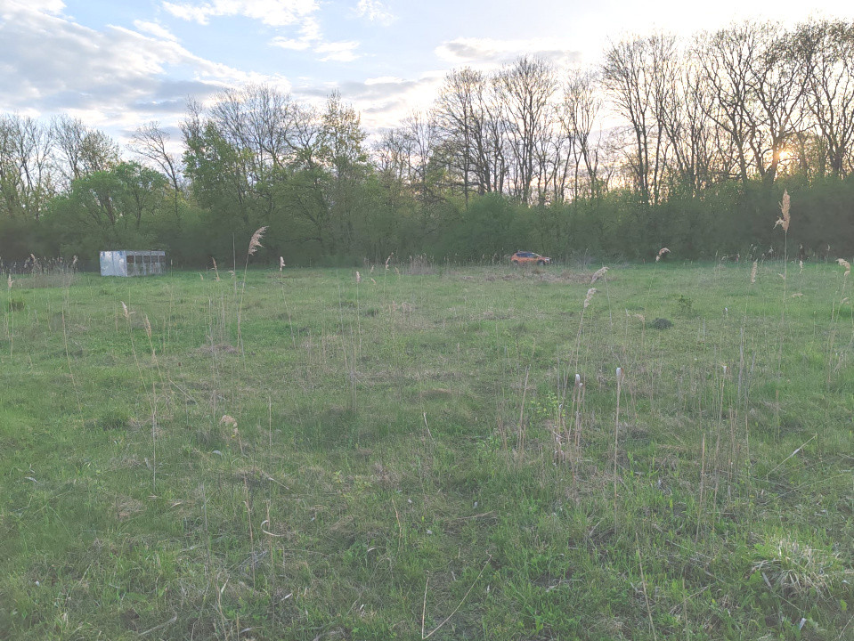 Teren ideal pentru casă de vacanță sau locuință permanentă, la marginea pădurii 