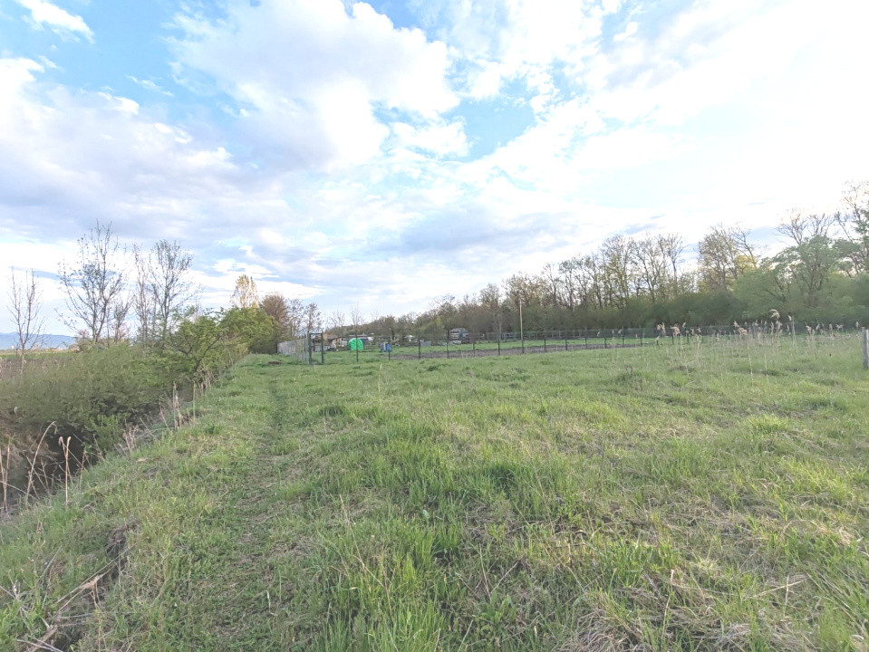 Teren ideal pentru casă de vacanță sau locuință permanentă, la marginea pădurii 