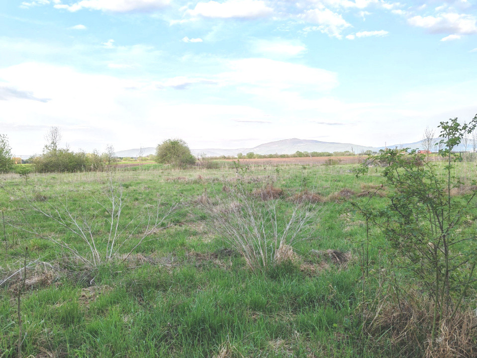 Teren ideal pentru casă de vacanță sau locuință permanentă, la marginea pădurii 