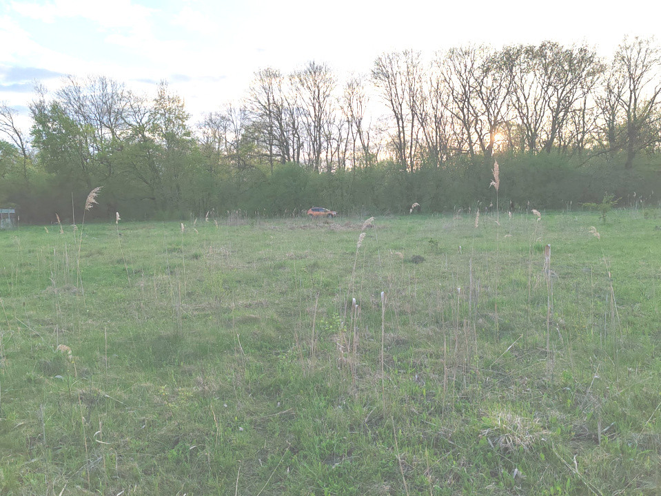 Teren ideal pentru casă de vacanță sau locuință permanentă, la marginea pădurii 