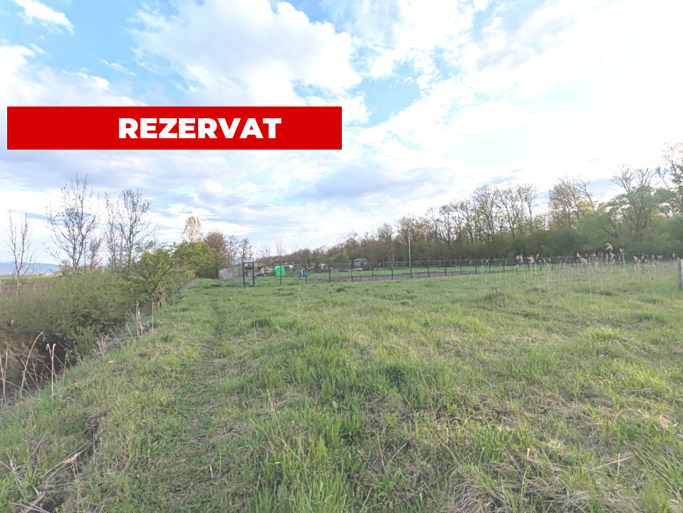 Teren ideal pentru casă de vacanță sau locuință permanentă, la marginea pădurii 
