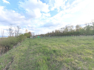 Teren ideal pentru casă de vacanță sau locuință permanentă, la marginea pădurii 