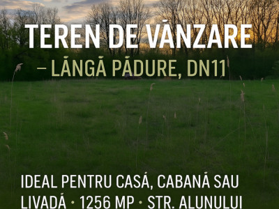 Teren ideal pentru casă de vacanță sau locuință permanentă, la marginea pădurii 