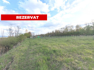 Teren ideal pentru casă de vacanță sau locuință permanentă, la marginea pădurii 