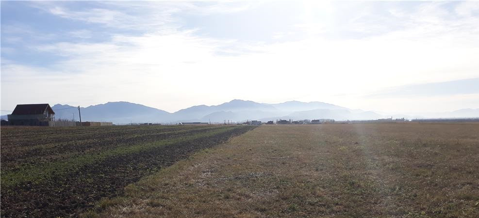 Teren intravilan 1.814 mp cu panoramă superbă – oportunitate unică!