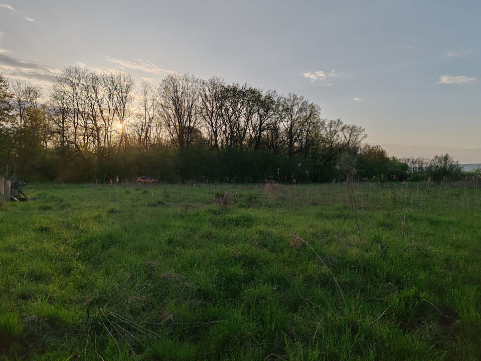 Teren intravilan 1.814 mp cu panoramă superbă – oportunitate unică!