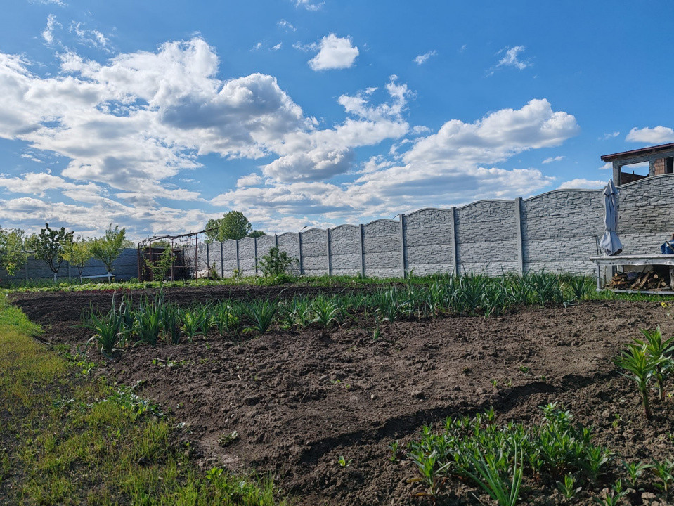 Teren  Harman intravilan  cu utilitati  !
