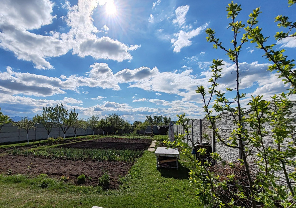 Teren  Harman intravilan  cu utilitati  !