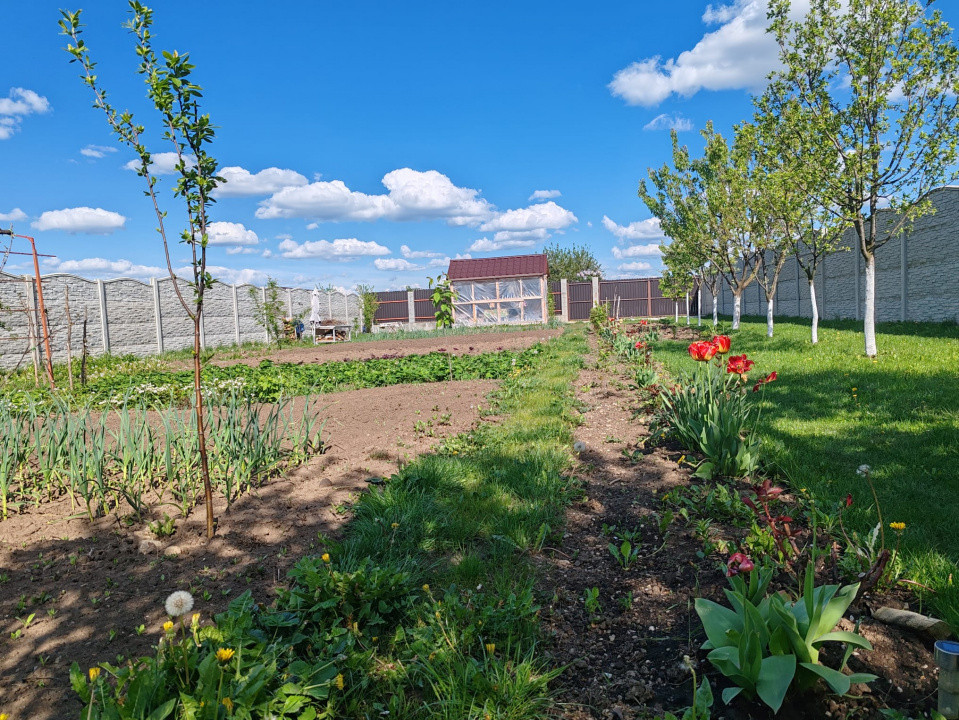 Teren  Harman intravilan  cu utilitati  !