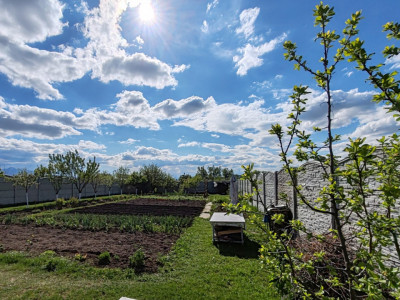 Teren  Harman intravilan  cu utilitati  !