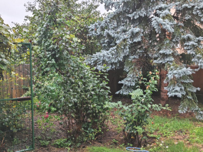 De vânzare – apartament spațios în casă, situat ultracentral