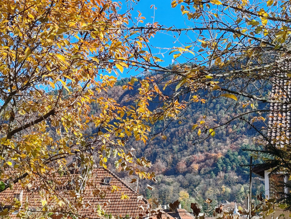 Casă Duplex - Centrul Istoric