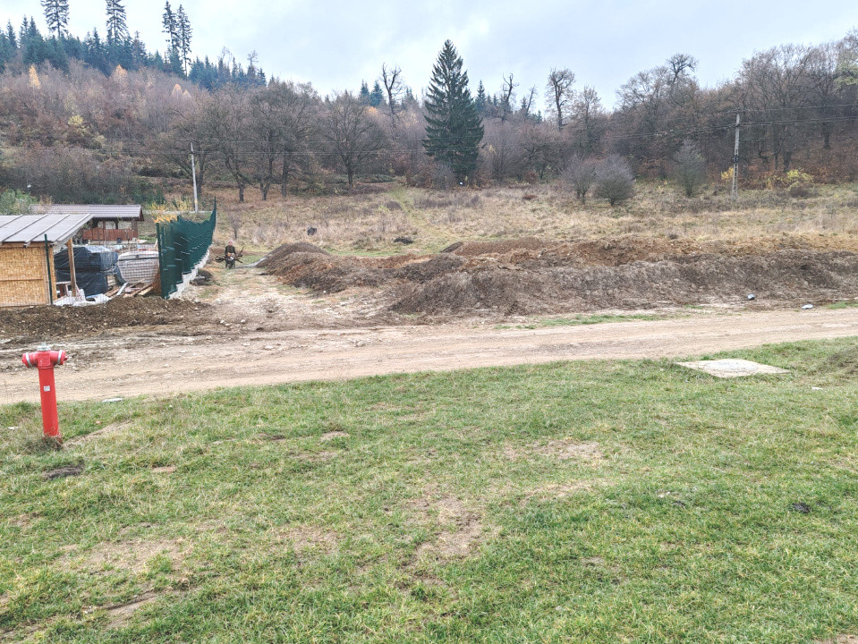  Investiție sigură: teren intravilan extrordinar, cu deschidere la pădure