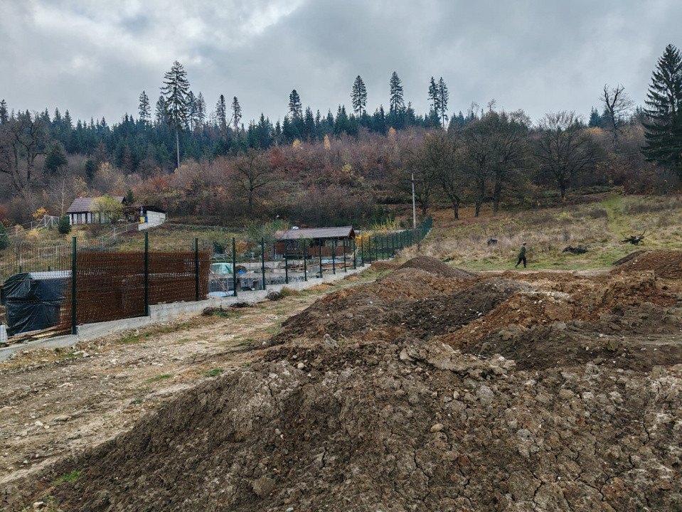  Investiție sigură: teren intravilan extrordinar, cu deschidere la pădure