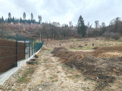  Investiție sigură: teren intravilan extrordinar, cu deschidere la pădure