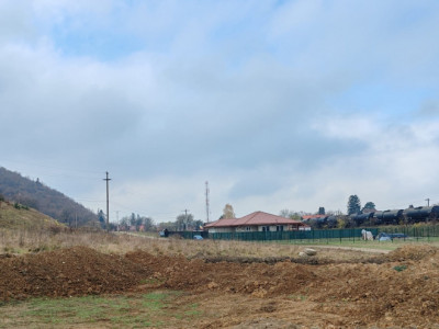  Investiție sigură: teren intravilan extrordinar, cu deschidere la pădure