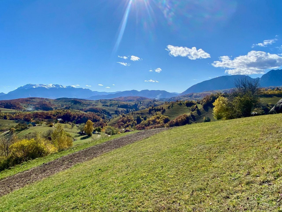 Vând teren Poiana Marului