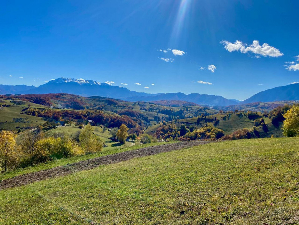 Vând teren Poiana Marului