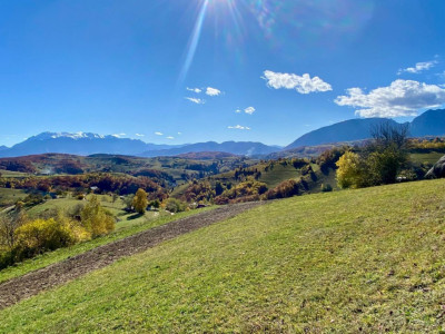 Vând teren Poiana Marului