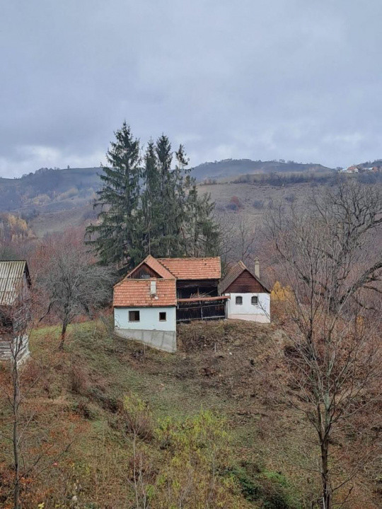 Vând teren+gospodărie