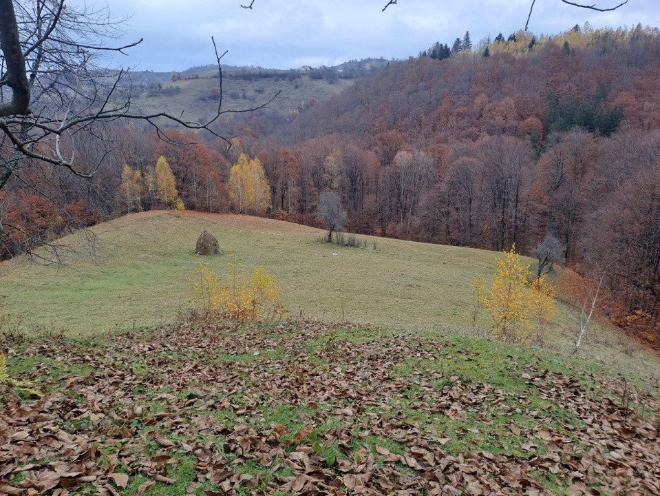 Vând teren+gospodărie