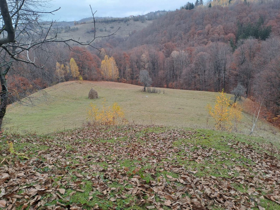 Vând teren+gospodărie