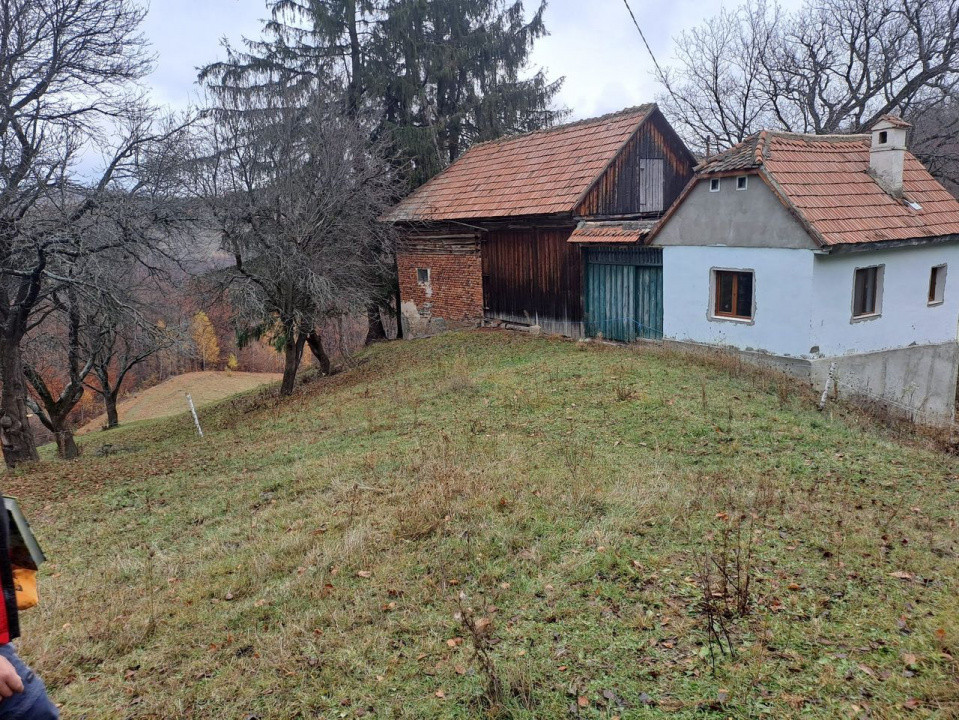 Vând teren+gospodărie