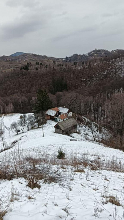 Vând teren+gospodărie