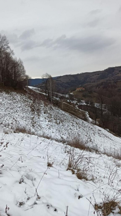 Vând teren+gospodărie