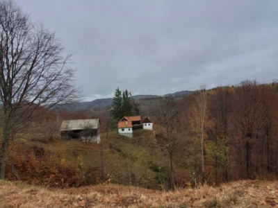 Vând teren+gospodărie