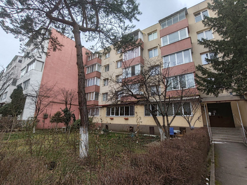 Garsonieră modernă 