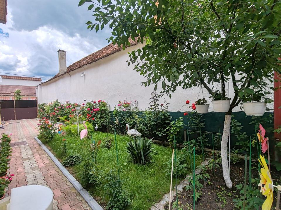 Casa Ghimbav !