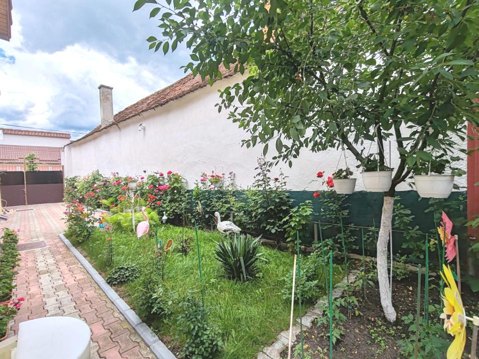 Casa Ghimbav !