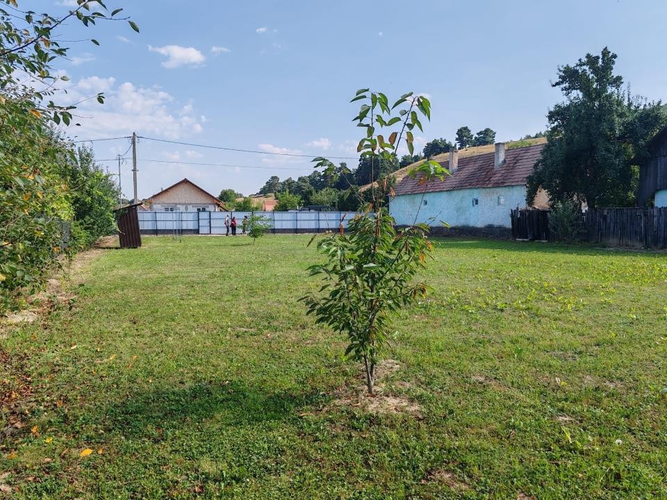 TEREN INTRAVILAN   DOBARLAU 