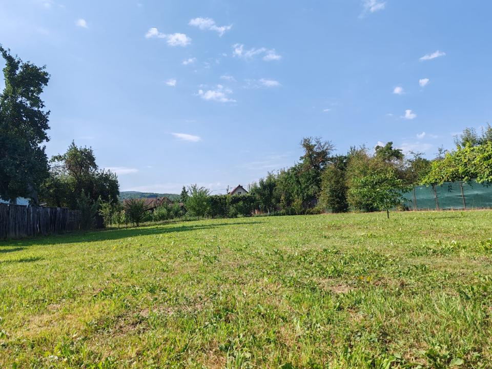 TEREN INTRAVILAN   DOBARLAU 