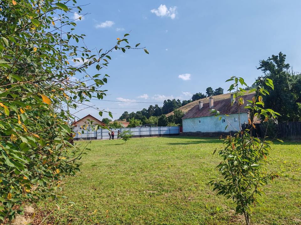 TEREN INTRAVILAN   DOBARLAU 