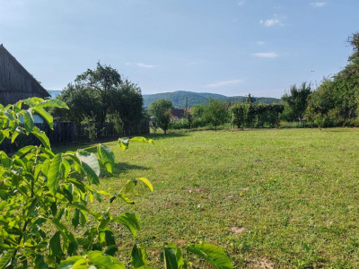 TEREN INTRAVILAN   DOBARLAU 